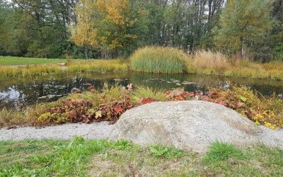 Mineralische Rohstoffgewinnung im Einklang mit Mensch und Natur